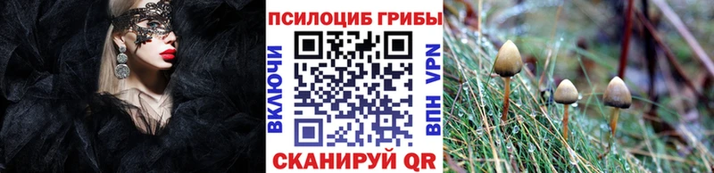 купить закладку  Арамиль  Псилоцибиновые грибы ЛСД 